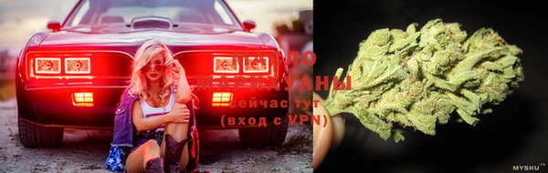 соль ск Алексин