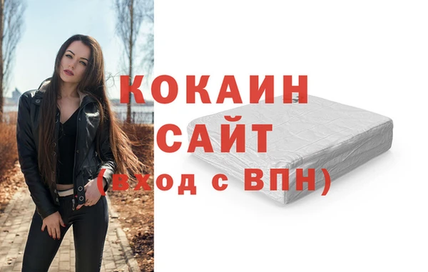 соль ск Алексин