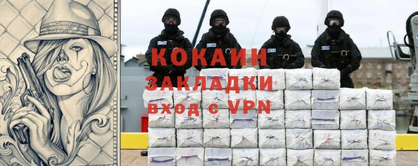 соль ск Алексин