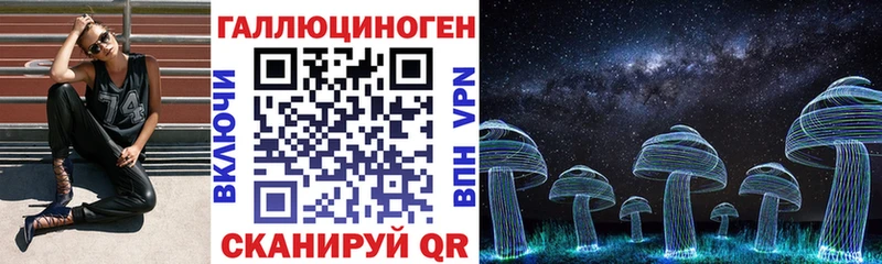 Галлюциногенные грибы Psilocybe  дарнет шоп  Суджа 